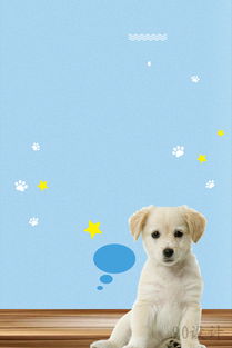 高清小清新寵物營(yíng)養(yǎng)狗糧海報(bào)素材下載