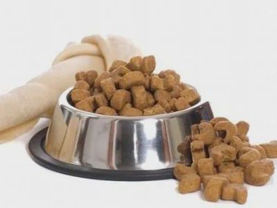 寵物食品配方師研發課程今日開課，深入解析犬貓商品化寵物飼糧