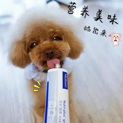 專業高效，合規清關 荷蘭寵物魚油膠囊進口報關全程指南